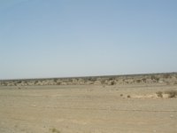 Oman 2008